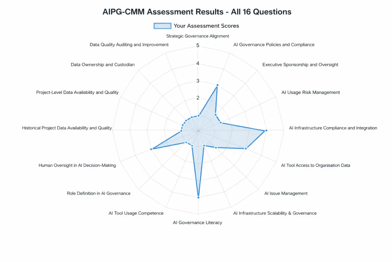AIPG CMM assessment Results