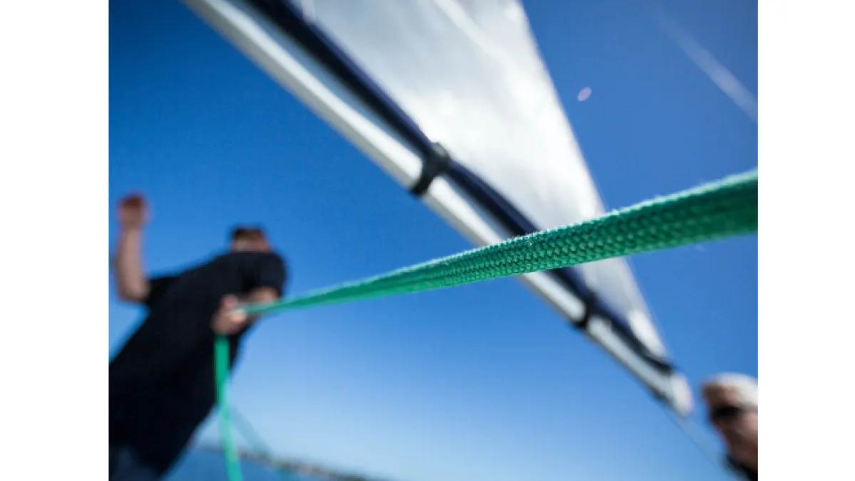 Oppidum BV illustration